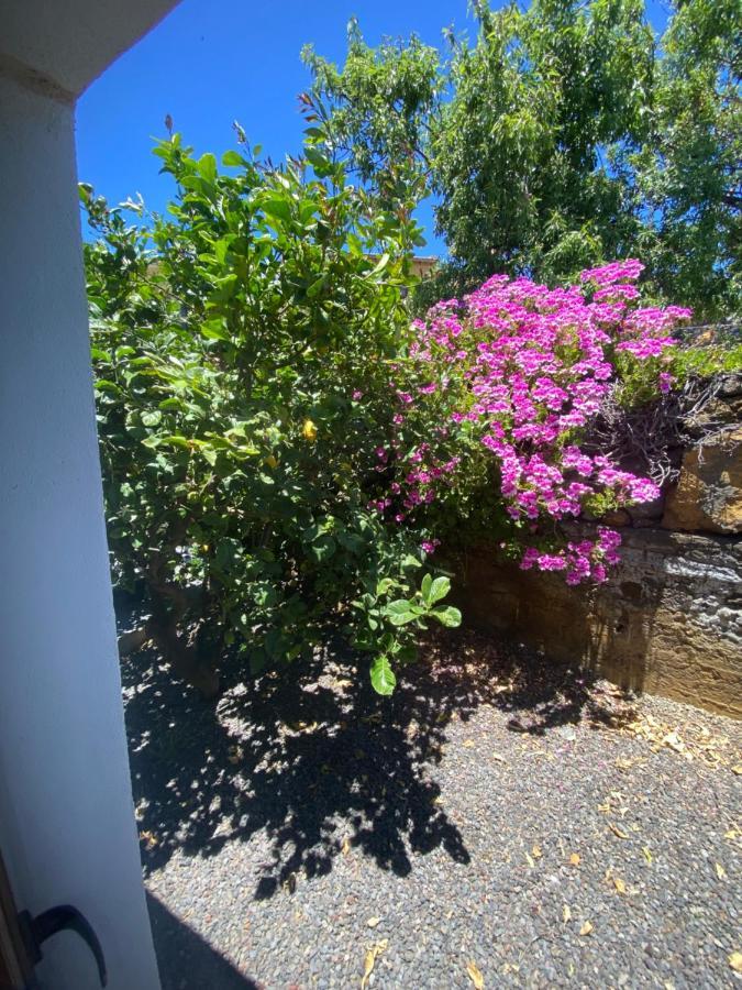 Vivienda Vacacional Casa Pancho Taibique エクステリア 写真